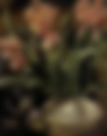 Still life of flowers in a bowl (preview)