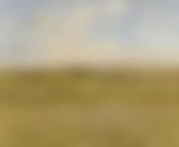 Danish summer landscape (preview)