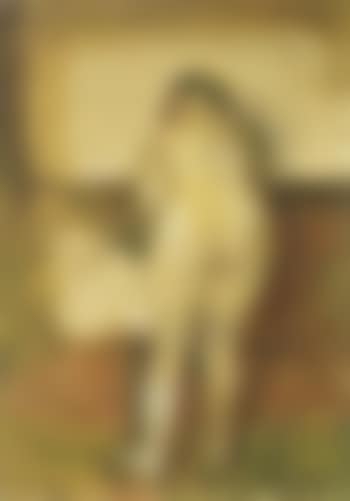 Nude woman seen from behind (preview)