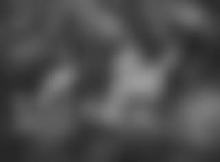 Music of the forest, genre scene with cricket and dwarf (preview)