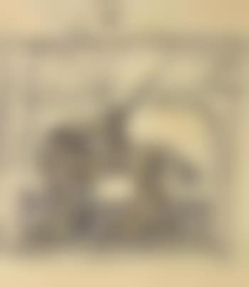 La licorne (preview)