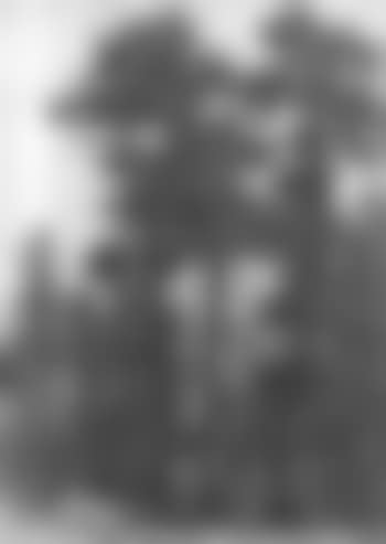 Mountain landscape (preview)