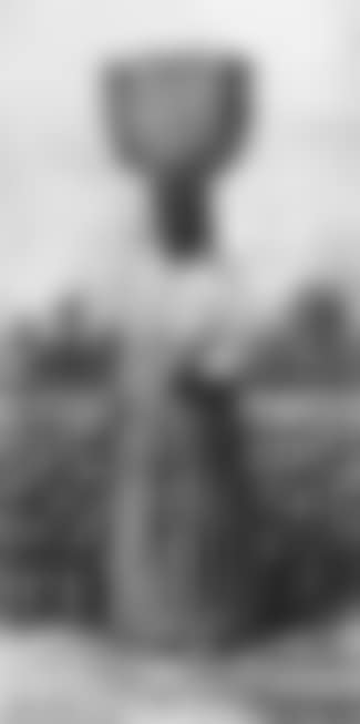 Cotton picker (preview)