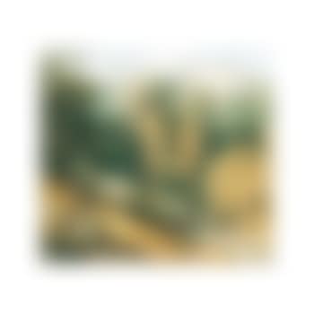 Canonteign, Devon (preview)