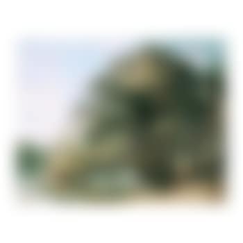 Peamore, Devon (preview)