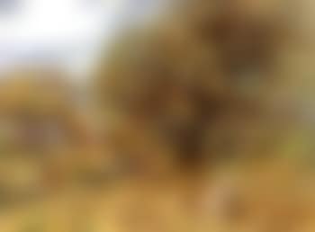 Summer landscape with children (preview)