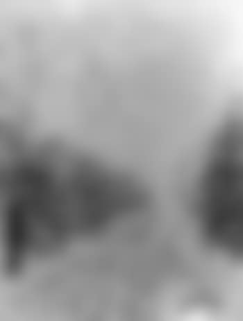 A winter road (preview)