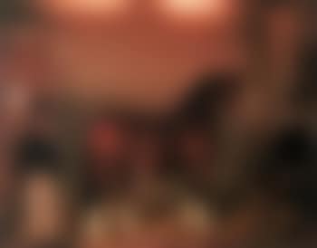 Portrait of champion shire horse in stable (preview)