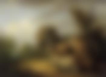 Deer resting in wooded landscapes (preview)