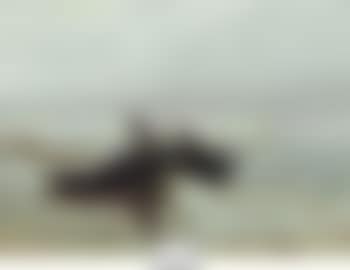 Coastal landscape with ship wreck (preview)