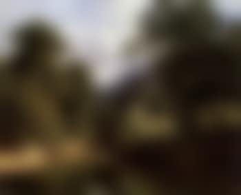 Summer, tranquil river (preview)