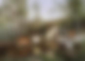 Cows in a landscape (preview)