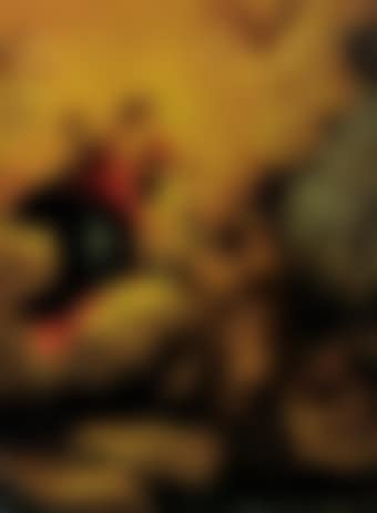 Vision of St Francis (preview)