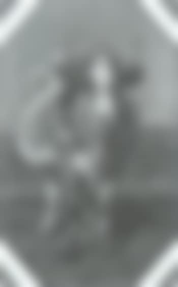Portrait of pregnant cow (preview)