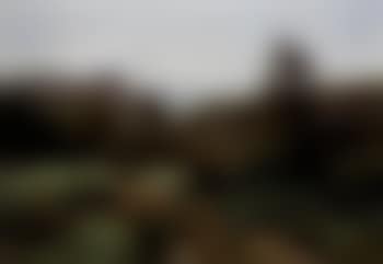 Shepherd (preview)