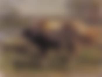 River landscape (preview)
