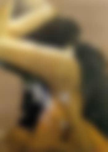 Le flessione verticale (preview)