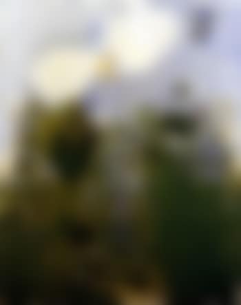Paysage (preview)