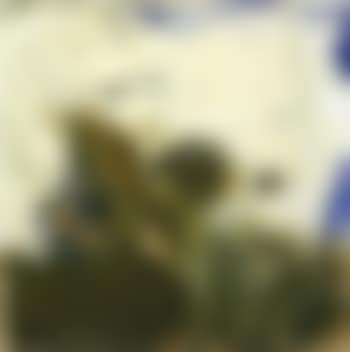 Paysage (preview)