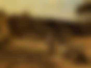 Les glaneuses (preview)