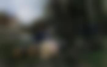 Bougival (preview)