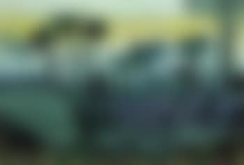 Wandering elephants (preview)