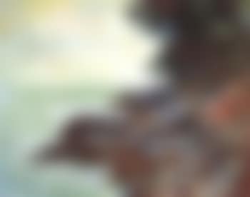 Cap Martin (preview)