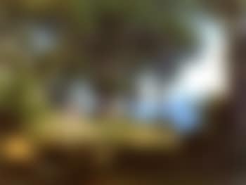 Lake landscape with Christ as shepherd (preview)