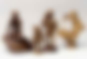 Negro faun (preview)