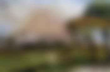 Ricefields at the foot of the volcano (preview)