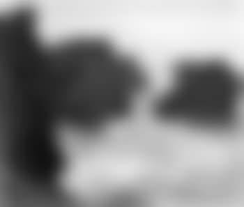 Rocky coastline (preview)