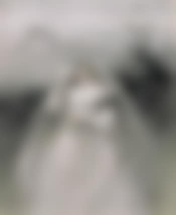Young bride (preview)