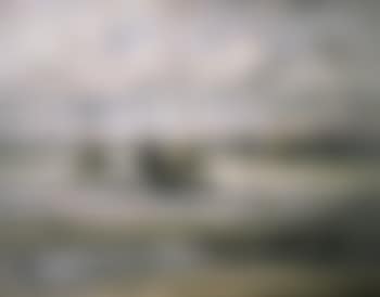Maree bas (preview)