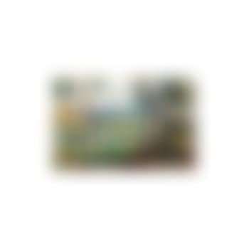 Pins aux environs de Cagnes (preview)