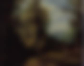 Stag hunt in a wooded landscape (preview)