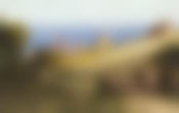 Soft shaded pastures (preview)