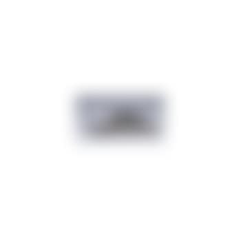 Souris (preview)