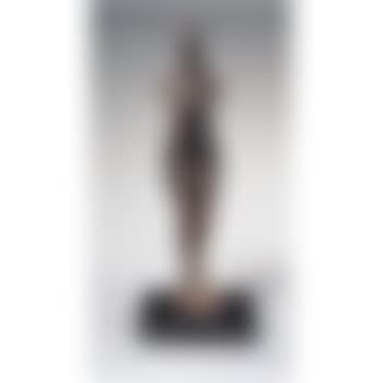 Piccola figure (preview)