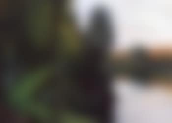 Grosse seelandschaft (preview)