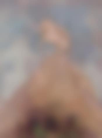 Pegase blanc (preview)