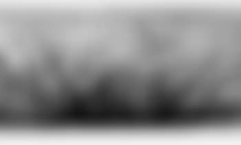 Bataille (preview)