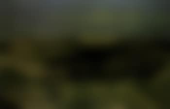 Valley of silence - Lister dunes on Sylt (preview)