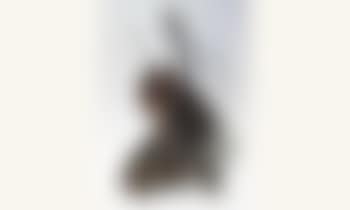Violoncelle decoupe (preview)