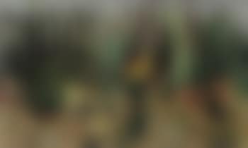 Birds among cacti (preview)