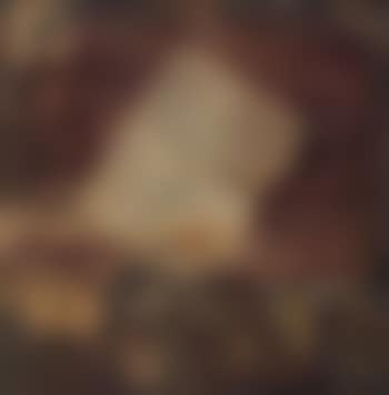 The letter (preview)