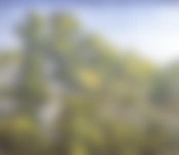 Paysage vallonne (preview)