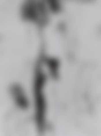 Studies of nudes and an elderly man (preview)