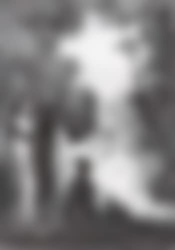 Courtisanes dans le jardin du harem (preview)