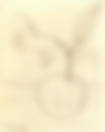 Cheval et pomme (preview)