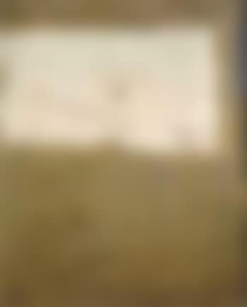Blanco et ocra (preview)